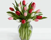 Your Trusted Florist for Same-Day Flower Delivery in Toronto & the GTA