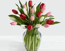 Your Trusted Florist for Same-Day Flower Delivery in Toronto & the GTA