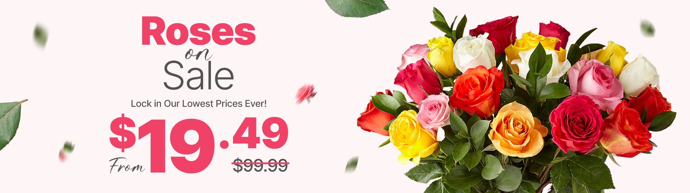 dozen roses fower delivery