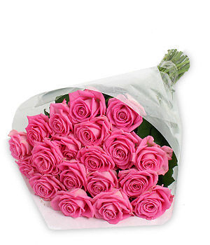 20 Pink Roses | 416-Flowers
