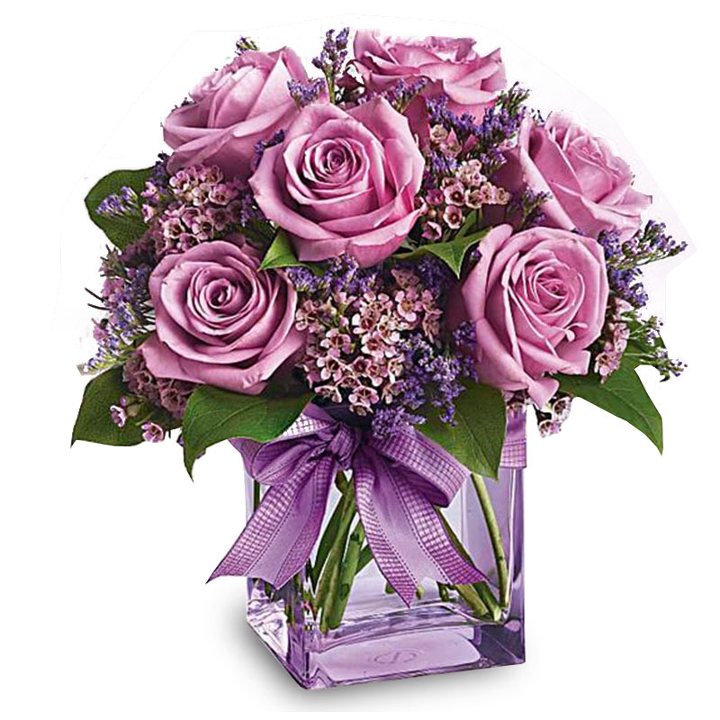 Purple Roses