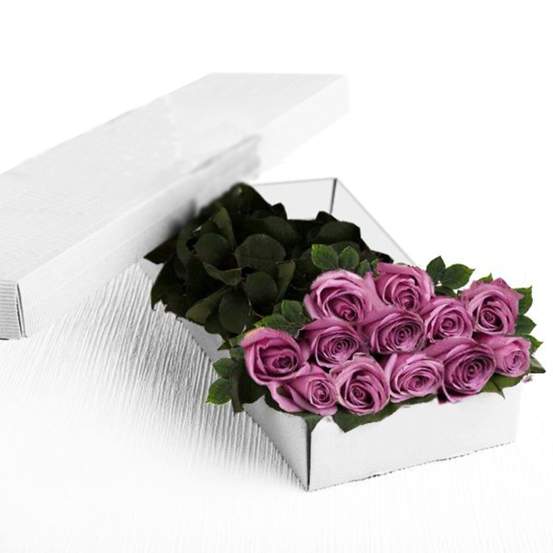 Dozen Lavender Roses In A Box A7095 Flower Delivery Flower Shop