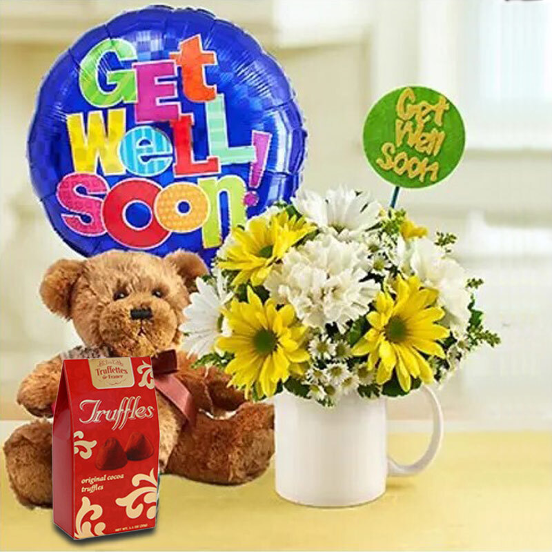 Get Well Soon Flower in a Mug a9370 Flower Delivery Flower Shop