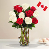12 Roses in a vase with Canadian flag.