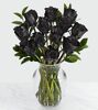 12 Black Roses In a Vase